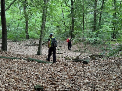 Op Veluwe vermiste man gevonden door alerte wielrenners: ‘Hi