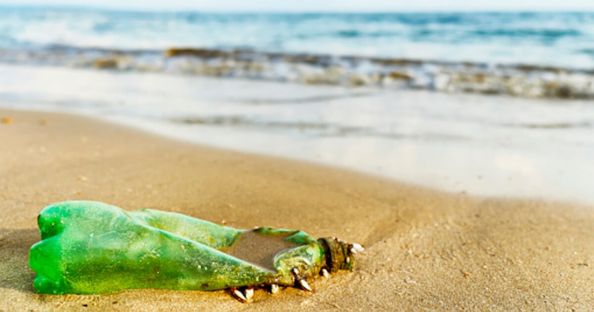 7 oktober: Opruimacties strand Baarland