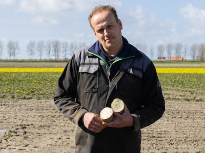 Aart plantte voor 18.000 euro aan zoete aardappels, maar moet de 38 ton oogst veilen: 'Weggooien is toch zonde!'