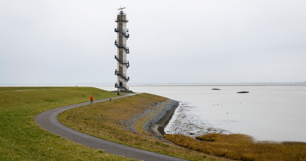 Raad van State ziet geen probleem in trap radartoren Walsoorden