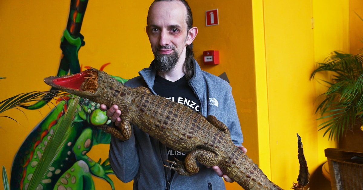 Kaaiman duikt op in Dokje van Perry: ‘Hier gaat een verdrietig verhaal achter schuil’