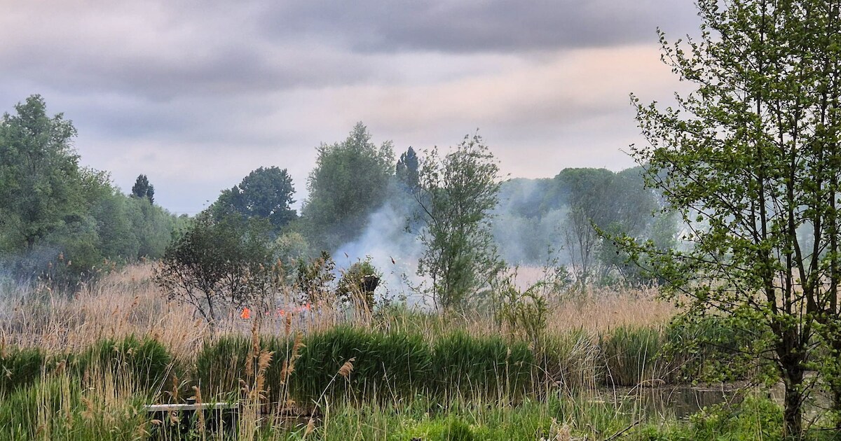 Vlammen in park langs Provincialeweg in Dordrecht: brand onder controle