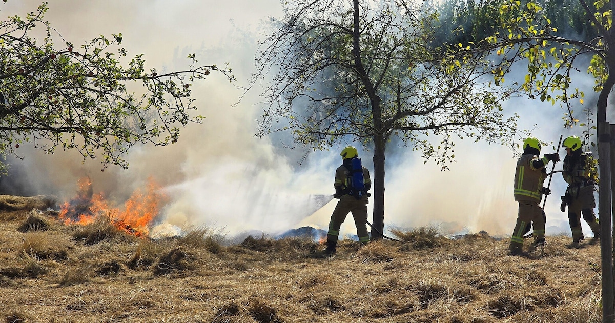 Gemaaid gras in brand in Kloetinge: brandweer in actie
