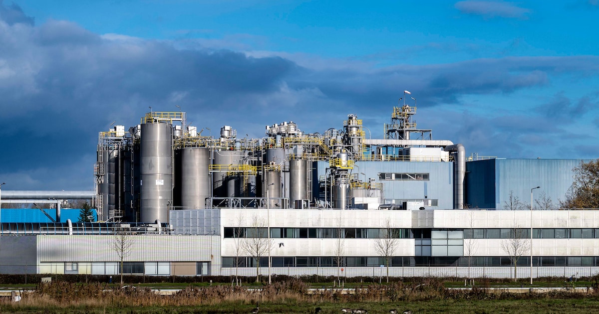 Milieuorganisaties doen aangifte tegen Sabic voor lozen PFAS in Westerschelde