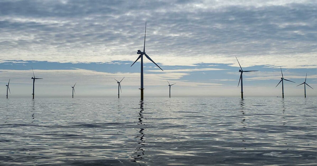 'Shell wil windpark bouwen met Eneco en Van Oord' | Nieuws | PZC.nl