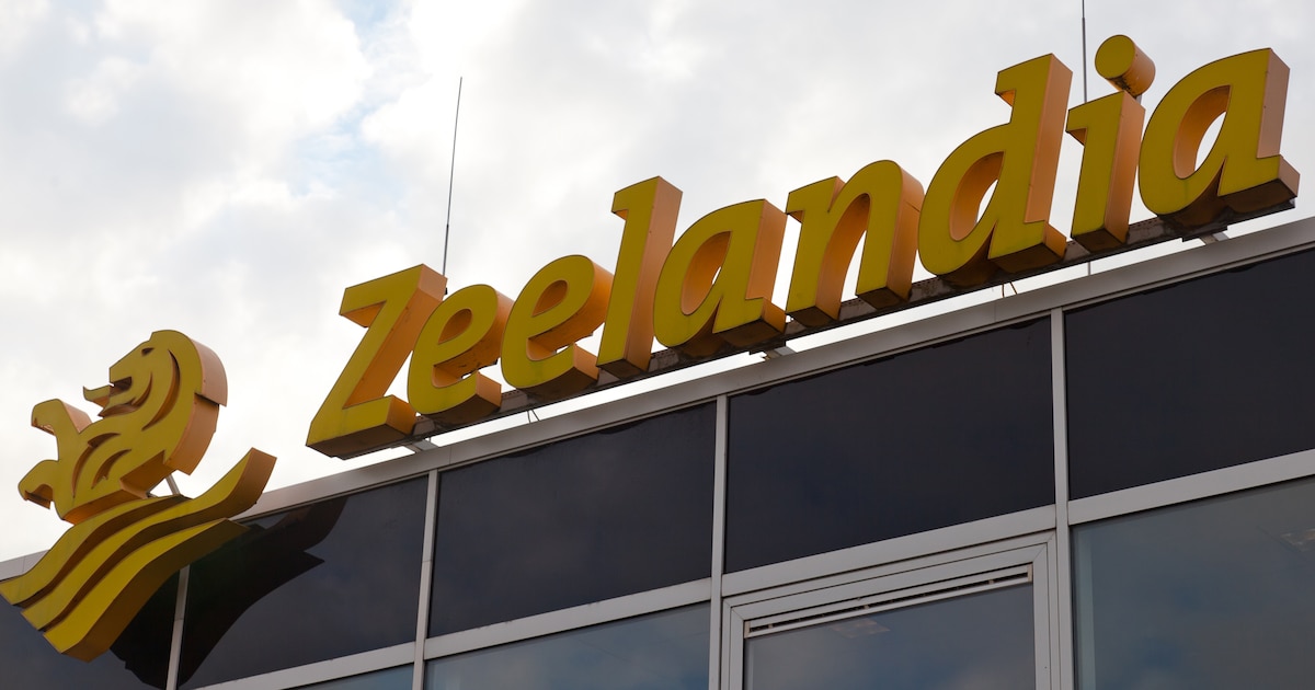 Toeleverancier bakkerijen Zeelandia gaat banen schrappen | Schouwen ...