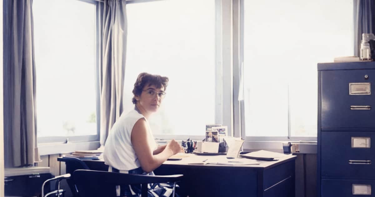 Als iedereen maar samen was