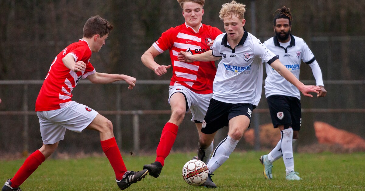 Toekomstig dierenarts Dries van Putte gaat met Clinge voor laatste strohalm: ‘We blijven ervoor vech