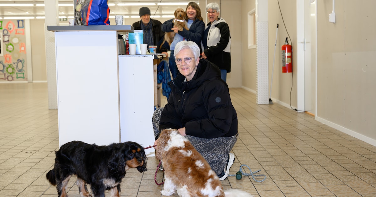 Pop-up consultatiebureau voor dieren helpt mensen die krap zitten: ‘Normaal moet je al direct 50 eur