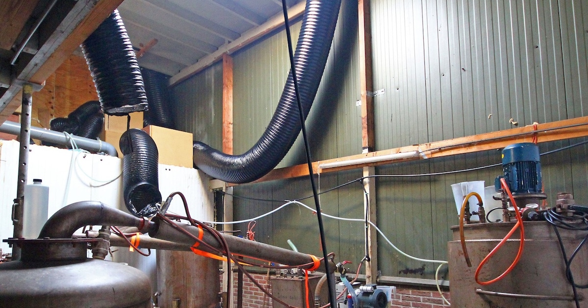 Drugsverdachte Sint Jansteen onderhandelt met OM over straf