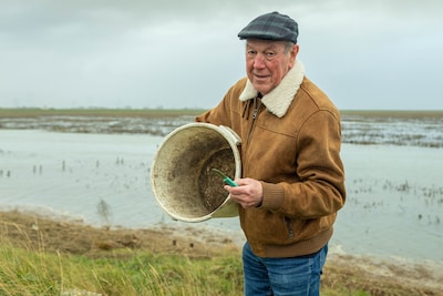 Slecht nieuws voor snijders van zeegroenten: komende vijf jaar blijven schorren op slot in het voorjaar