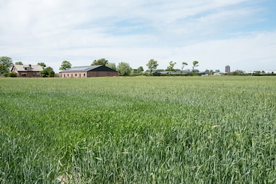 Groen licht voor hoogspanningsstation bij Zierikzee
