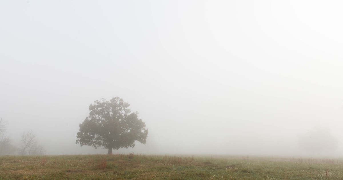 Zon en lokaal nevel of mist in Terneuzen in de ochtend