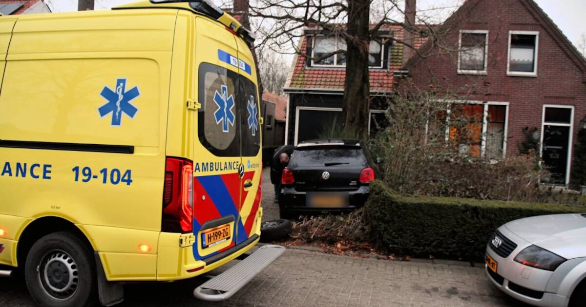 Wat er gisteren gebeurde, maakte Gijsbrecht nog nooit mee: 'Trots op mijn tuin, maar het komt goed'