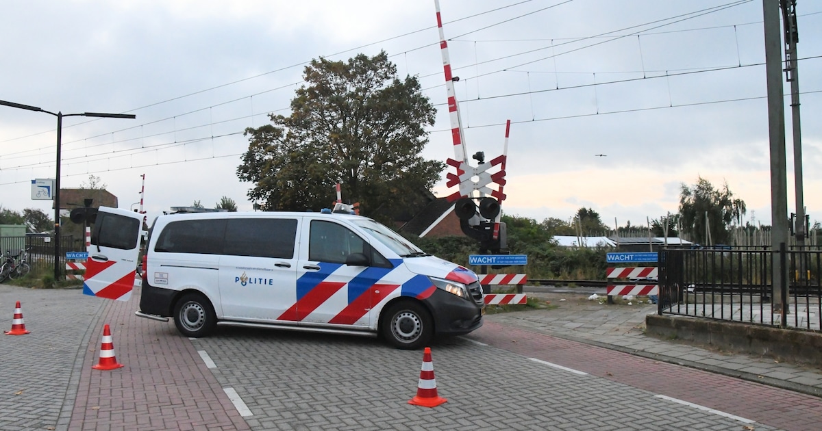 Vrouw komt om het leven bij aanrijding met trein in Rilland | Regio ...