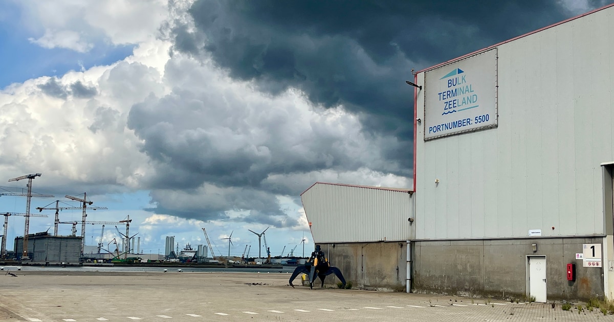 Witte rook in Zeeuwse drugszaak: na lange vertraging begint in juni proces BTZ-directie