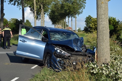 Hond overleden nadat auto tegen boom botst in Scharendijke