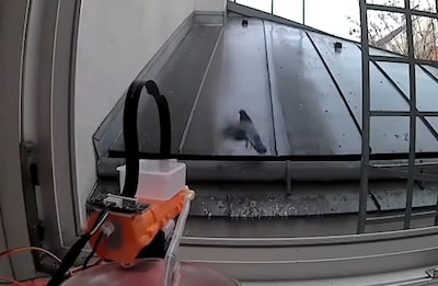 Man pakt duivenpoep aan met zelfgebouwd AI-waterkanon dat vogels automatisch wegspuit