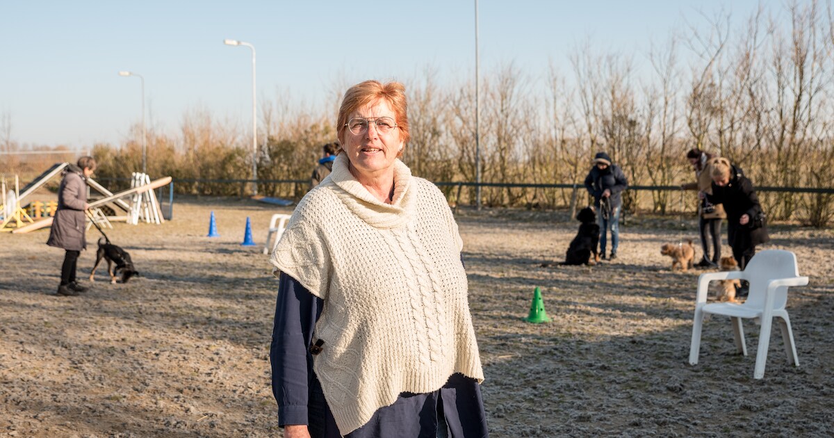 Zeeuwse uitlaatbedrijven, dierenpensions en hondenscholen propvol: ‘Reserveer snel een plekje voor d