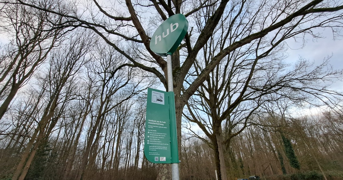 Flex vervoerssysteem start binnenkort in Zeeuws-Vlaanderen