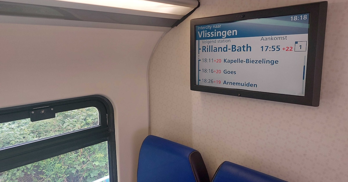 Trein dendert over bomen bij Bergen op Zoom: conducteur denkt aan opzet