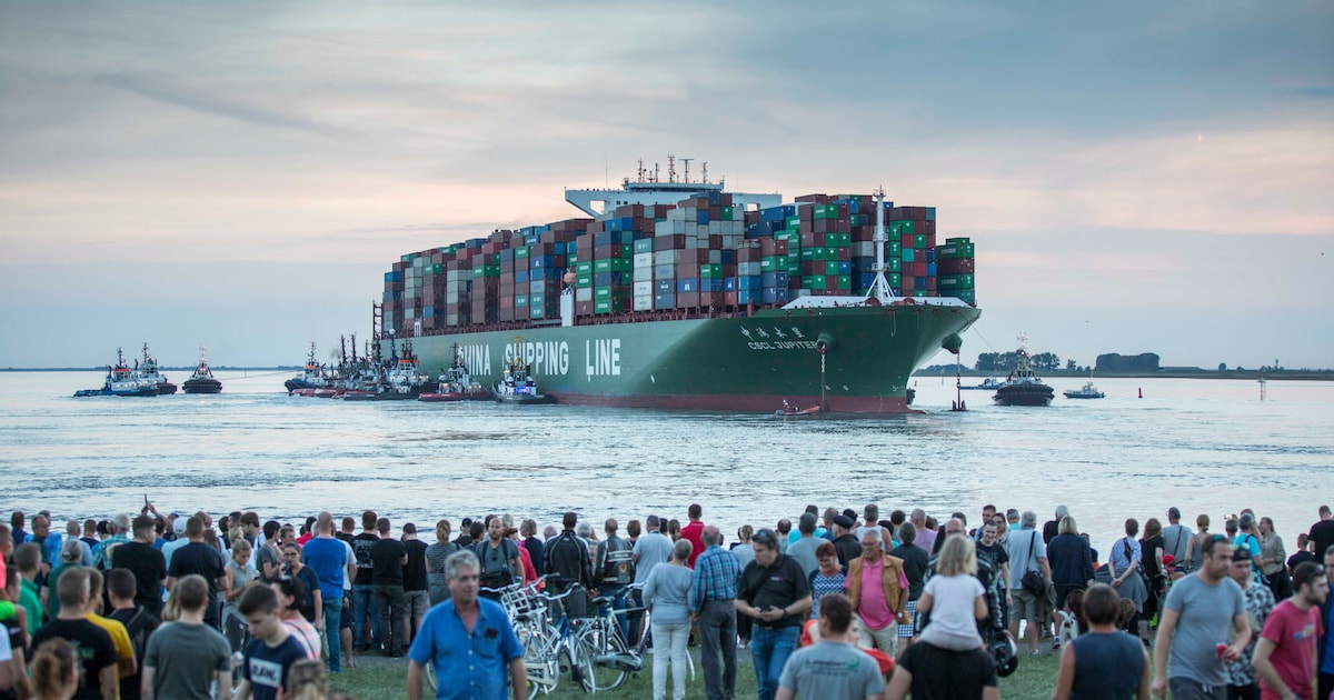 Antwerpse wethouder ligt wakker van mogelijke aanval op haven: ‘Zet een ...