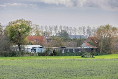 Buurvrouw kan weer bij haar dieren komen na uitspraak van de rechter