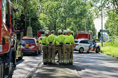 Bestuurder overleden nadat boom op bestelbus valt in Boxtel