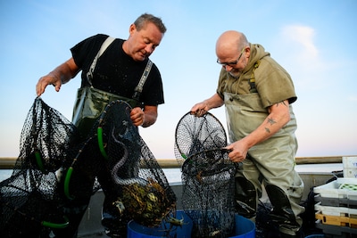 Corné, Henk en Ko op krabbenjacht op de Oosterschelde: ‘Bergser kan het niet’