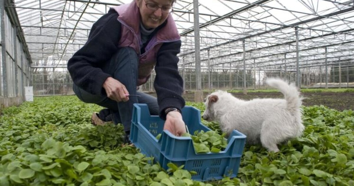 Klant is trouw aan bioboer