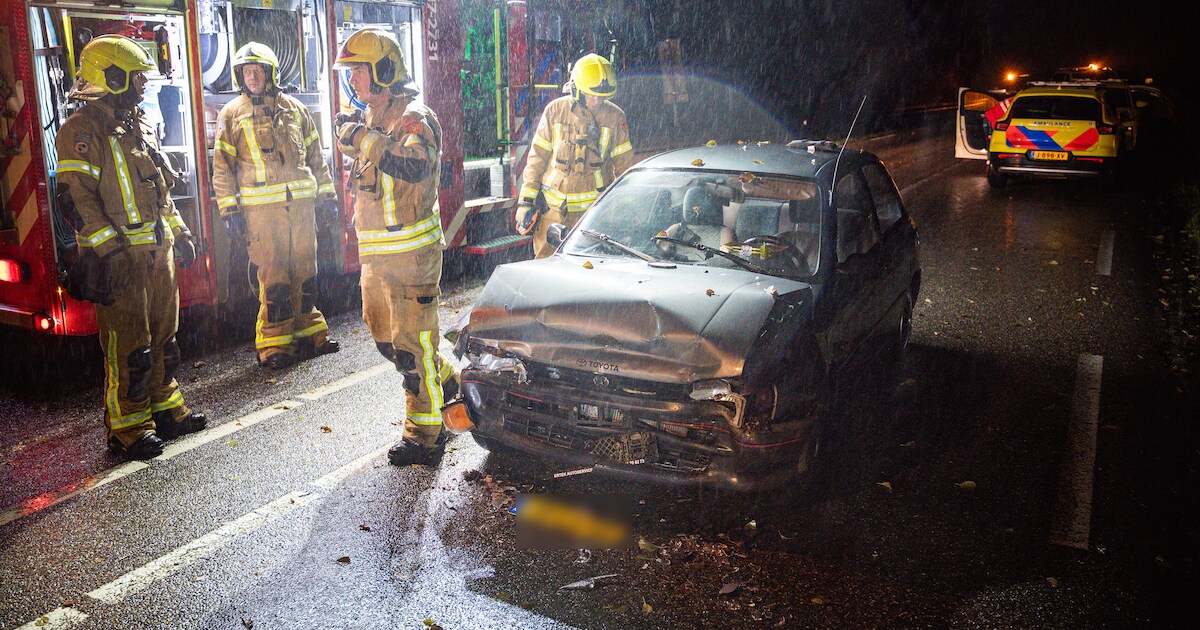 Automobilist belandt op verkeerde weghelft van N494 bij Zwartewaal: twee gewonden