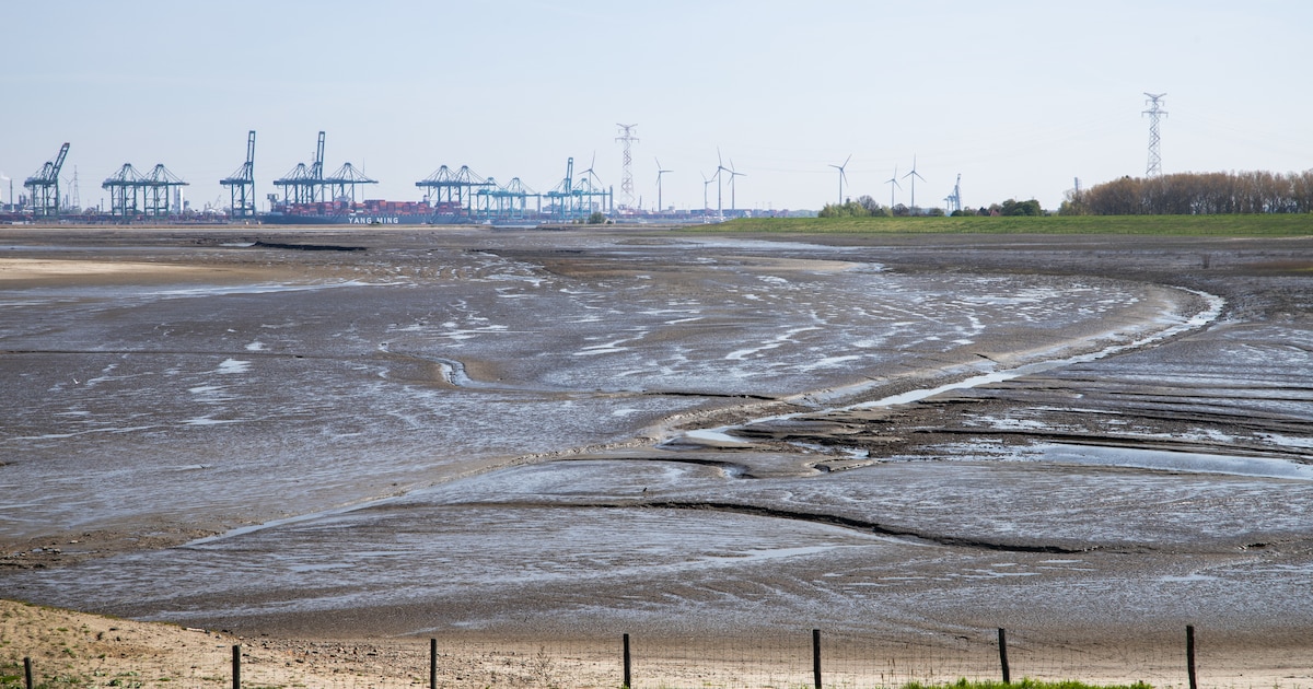 Land tijdelijk onder water zetten is en blijft taboe voor grootste partij in Hulst