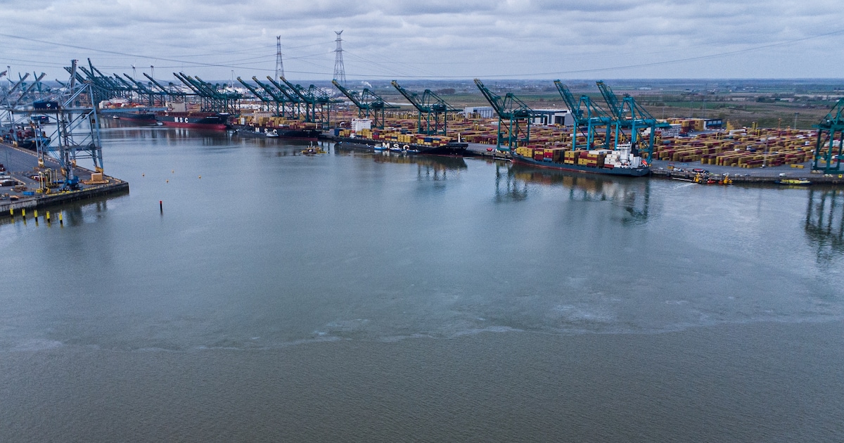 Olie gelekt in Antwerpse haven, Zeeuwse milieudienst alert