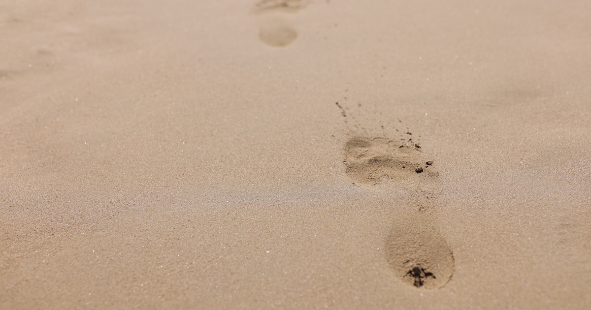 Naturisten kunnen een maand niet terecht op strandje Oesterdam