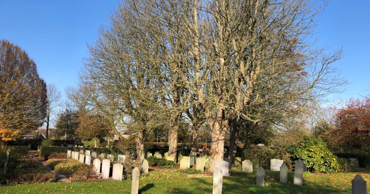 Reimerswaal overweegt veel langere grafrechten en weghalen grafmonumenten