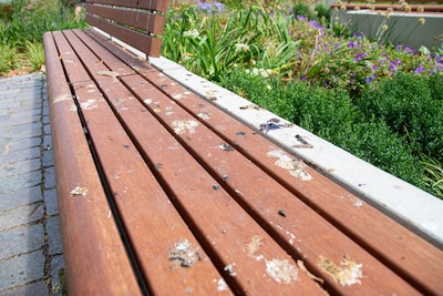 Oh shit: dit doet de gemeente tegen ondergepoepte bankjes bij het Gouvernement