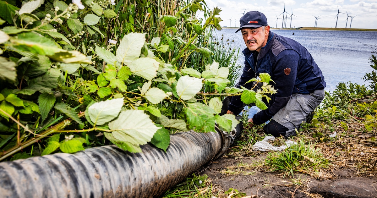 Miljoenen liters water tanken deze Zeeuwse boeren, om hun verdrogende akkers te redden: ‘Absurd’