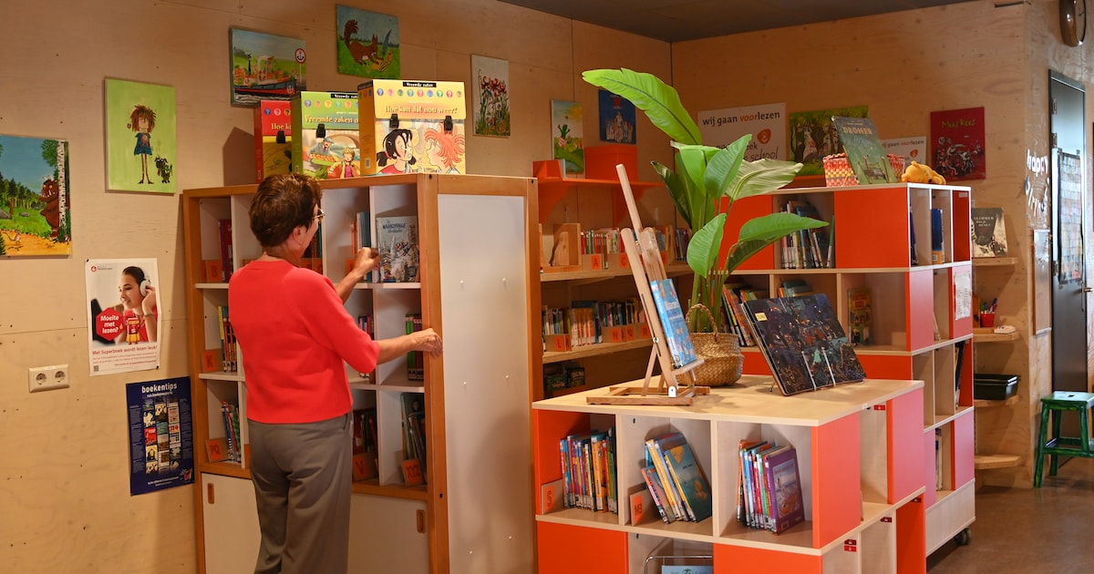 ZB Bibliotheek stopt met gratis wisselcollectie voor basisscholen: ‘Juist kleine scholen hebben geen