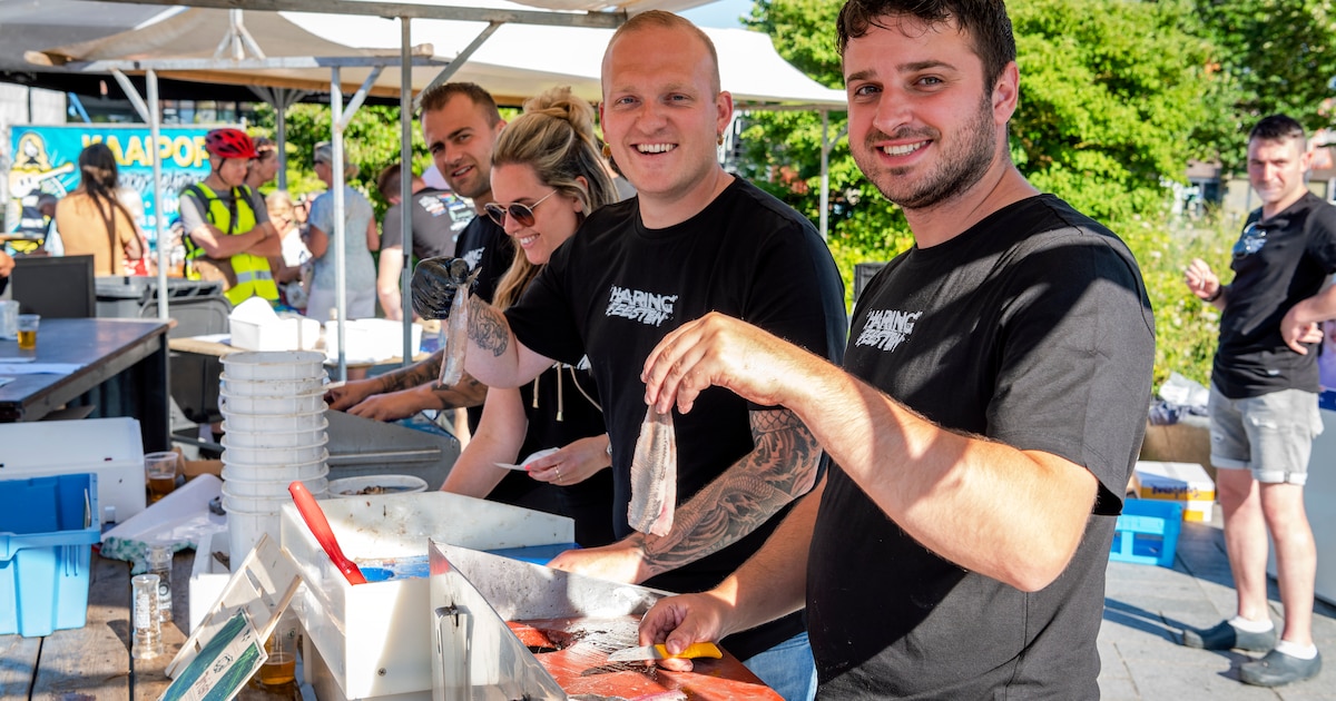 Haringfeesten XL in Breskens | Sluis