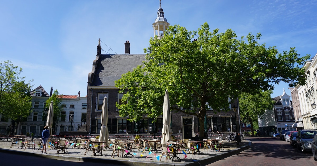 Uittips: dit doe je dit weekend in Schiedam (23 - 25 jan)