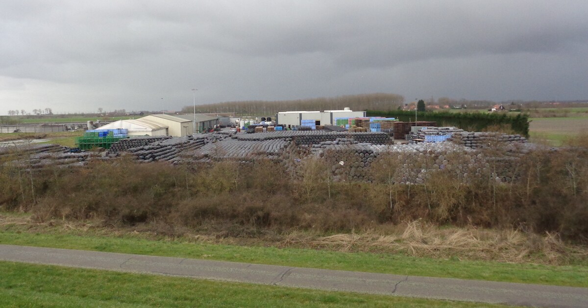 Baarlanders gaan een dak van Crop Alliance vol met zonnepanelen leggen