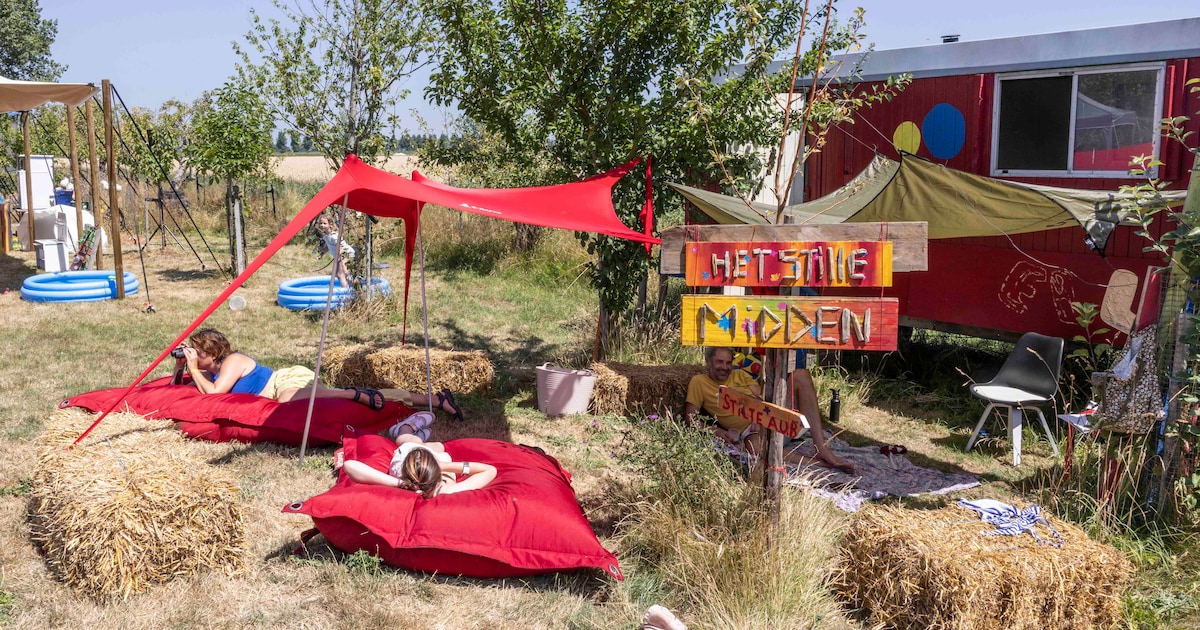 EEF, een festival waar de artiesten om het even zijn: ‘We laten ons verrassen’