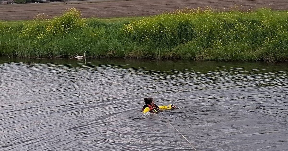Redders treffen onthoofde zwaan aan langs waterkant in Brielle