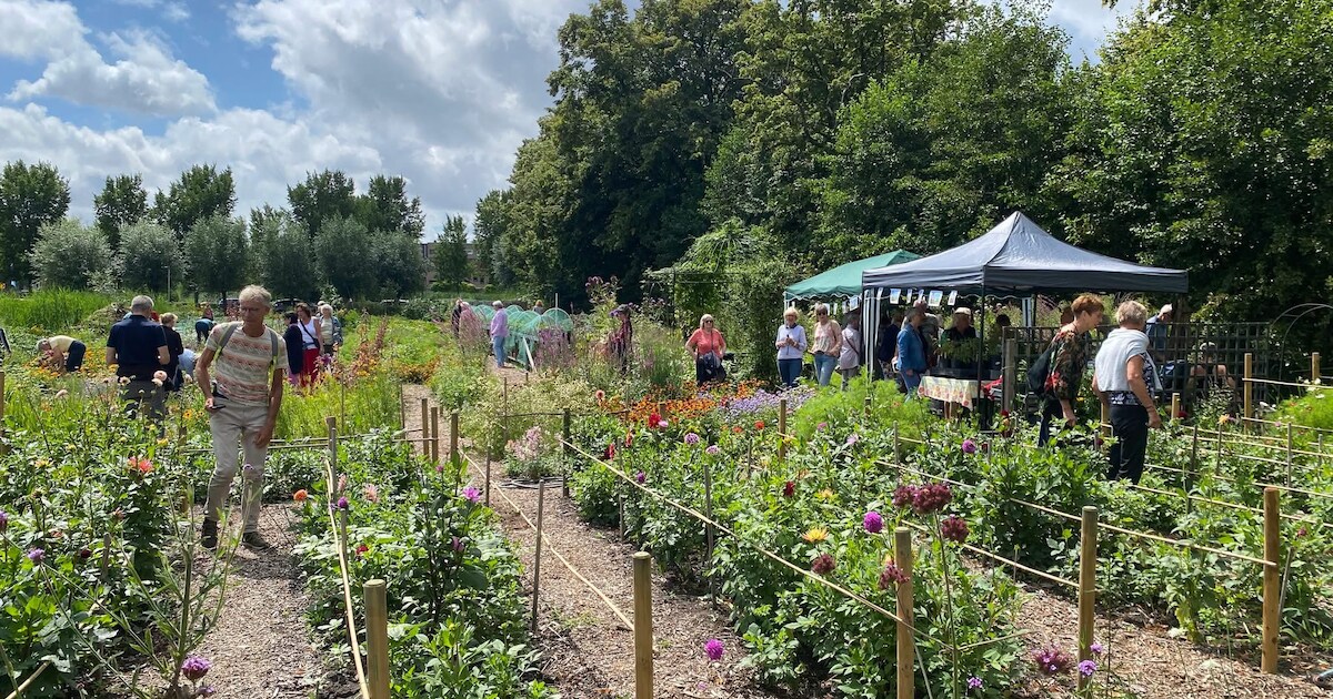 Weekendtips: deze dingen doe je in Vlaardingen (29-31 mei)