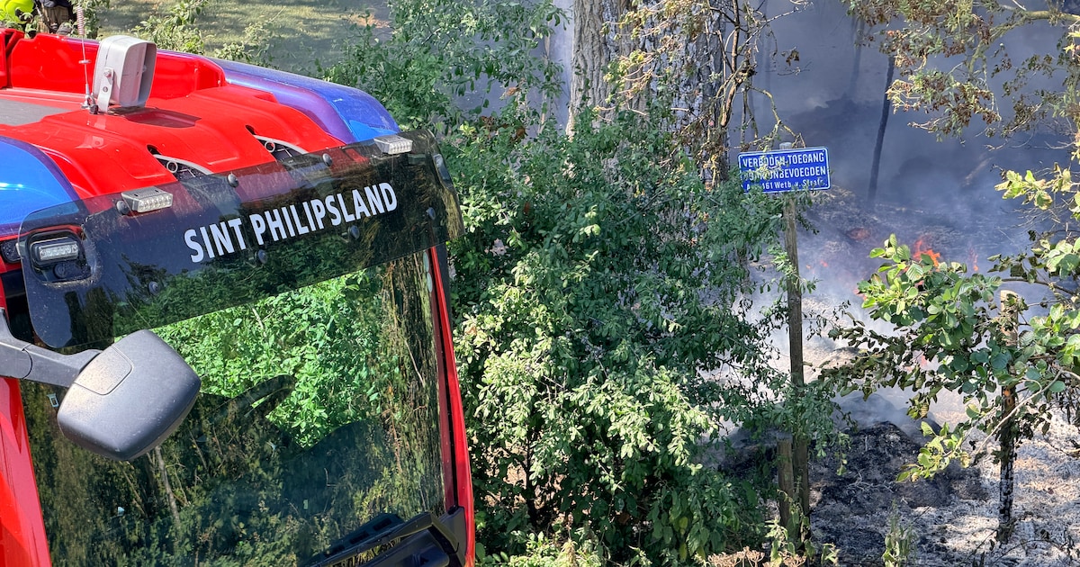 Derde natuurbrand in drie dagen in Sint Philipsland: voortuin kleurt zwart
