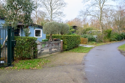 Geen boa’s met zaklampen, maar herten in Renesser bungalowbuurt: ‘Hoezo giftig?’