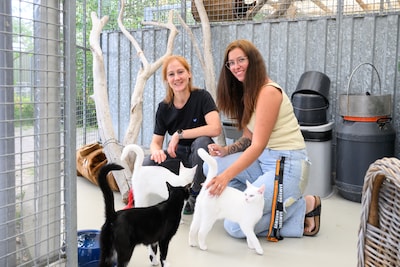 Na 40 jaar neemt Jolanda Meerman afscheid van het dierenasiel in Zierikzee: Rosalie en Janna nemen het stokje over