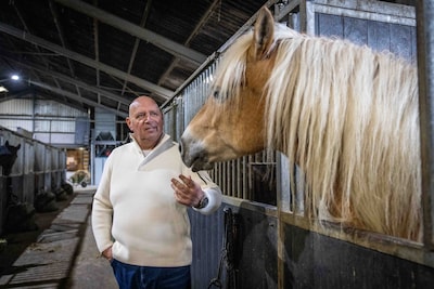 Zeeuwse paardenslachter heeft genoeg van discussie over paardenvlees: ‘Weet je wat pas zielig is...?’