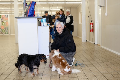 Kat Kalimera (7) geholpen dankzij gratis advies: ‘We kregen haar bekje niet goed open, ze heeft erg veel pijn’