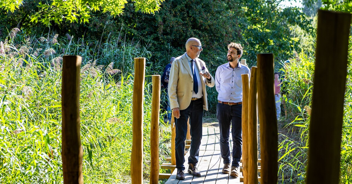 Groenzone IJsvogel geopend in Merksem: “Ontbrekende, groene schakel tussen Fort en Oude Landen”